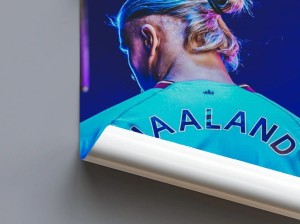 444f9d05fc2fe706fb484df599554432.jpg