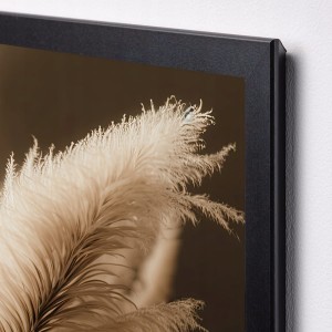 e1d63225adbc50f3eb05dc1b1a4c816a.jpg