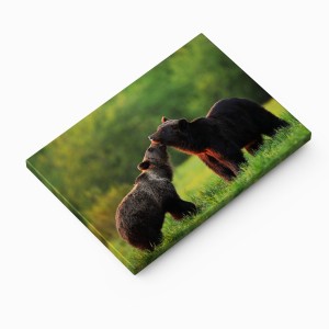 26589d21e360a8328b984f8e3f541cae.jpg