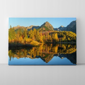 f6c56bbf16b263e2b986984db41b6232.jpg