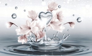2c4699f1819aa05b803f1566bfe07588.jpg