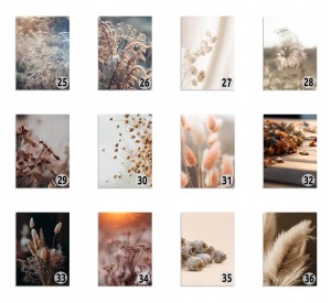4e9425ce8c67d9c00d50d9ea22fd44e5.jpg